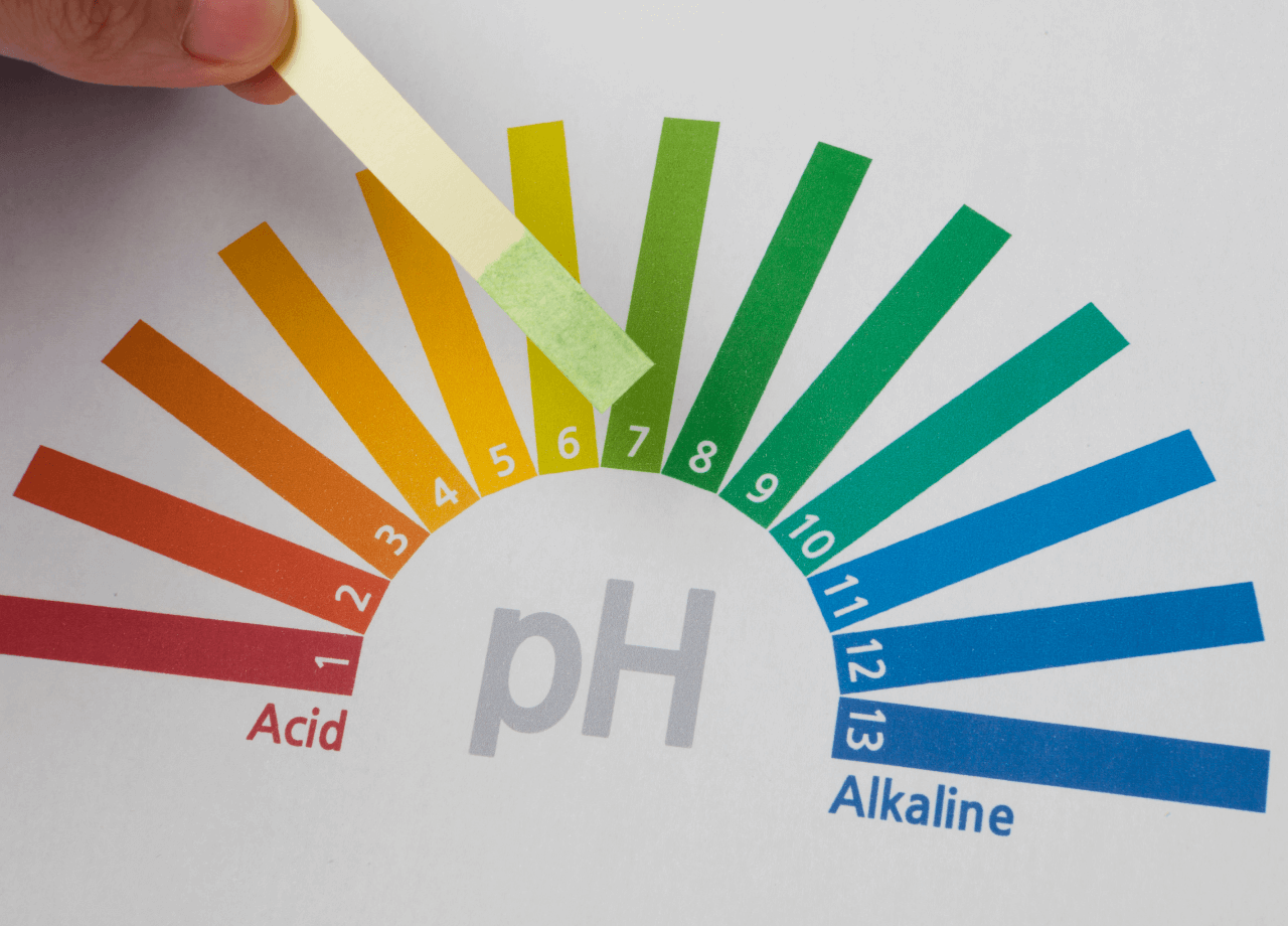 Alkali Su pH Değeri