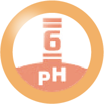 BTM 303 Icon 3