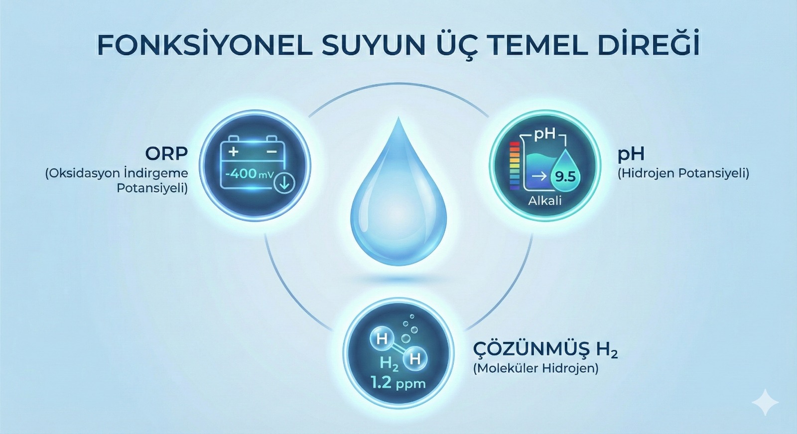 WhatsApp Image 2025 12 06 at 17.36.07